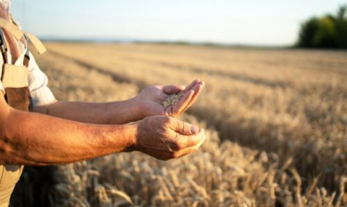 Rolnicy z różnych miejscowości powiatu wieluńskiego manifestują brak akceptacji dla unijnej polityki rolnej