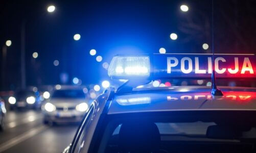 Kobieta straciła torebkę przez nieuwagę, złodziej w rękach policji!
